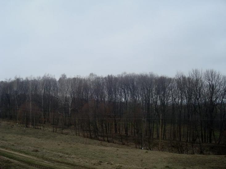 Слобода-Межирівська з panoramio.com - Sloboda-Mezhyrivska