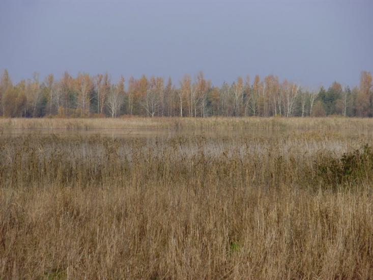 Котовка з panoramio.com - Котовка