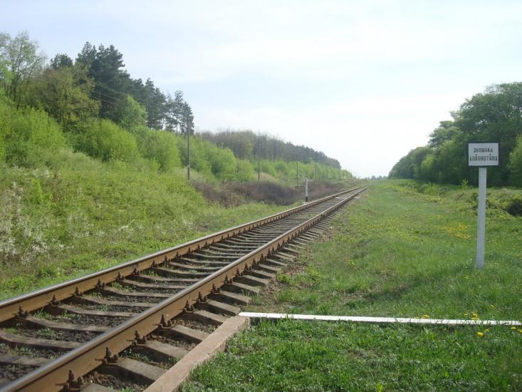 Шевченка з panoramio.com - Shevchenka