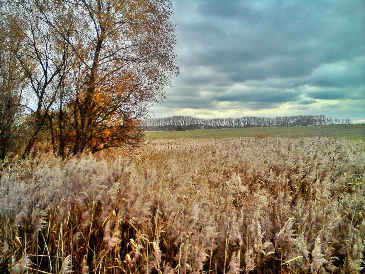 Кожухівка з panoramio.com - Кожуховка
