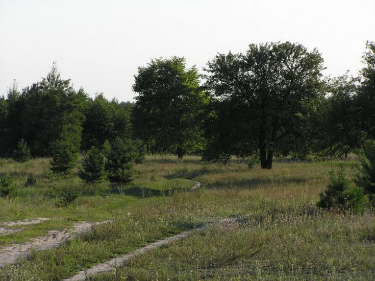 Нова Ушиця з panoramio.com - Новая Ушица