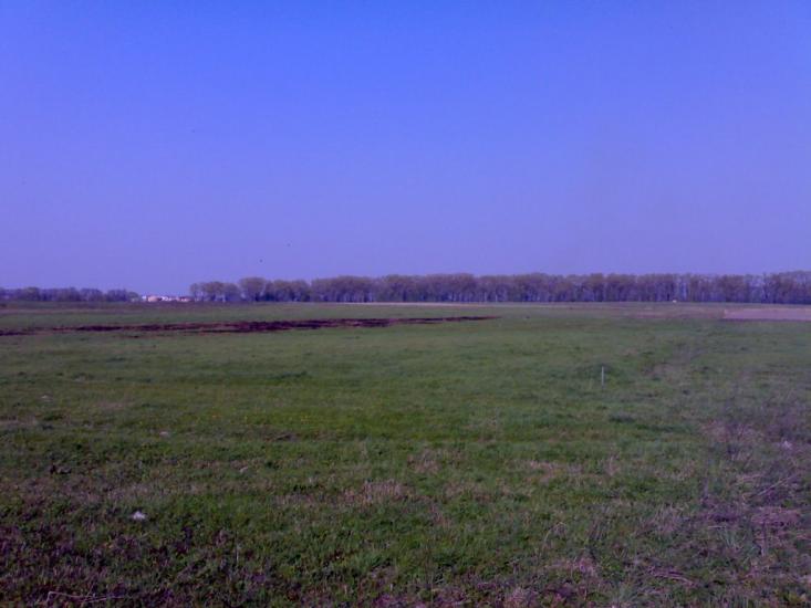 Шевченкове з panoramio.com - Шевченкове