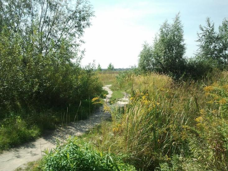 Торф'яне з panoramio.com - Торфяное