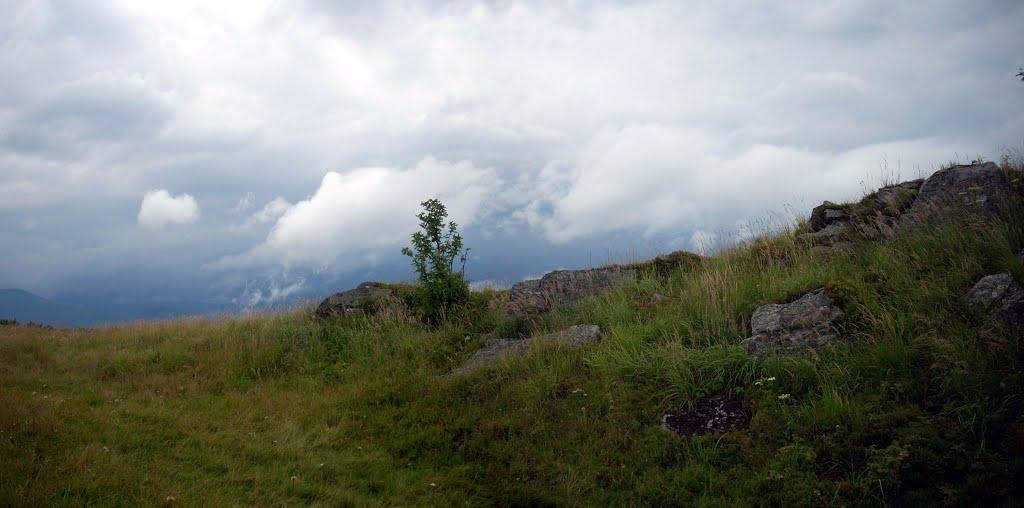 Розтока з panoramio.com - Ростока