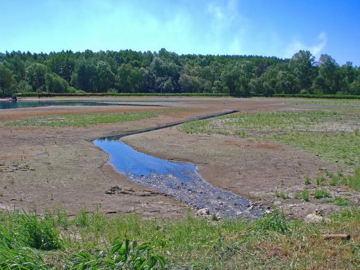 Забір'я з panoramio.com - Zabirya