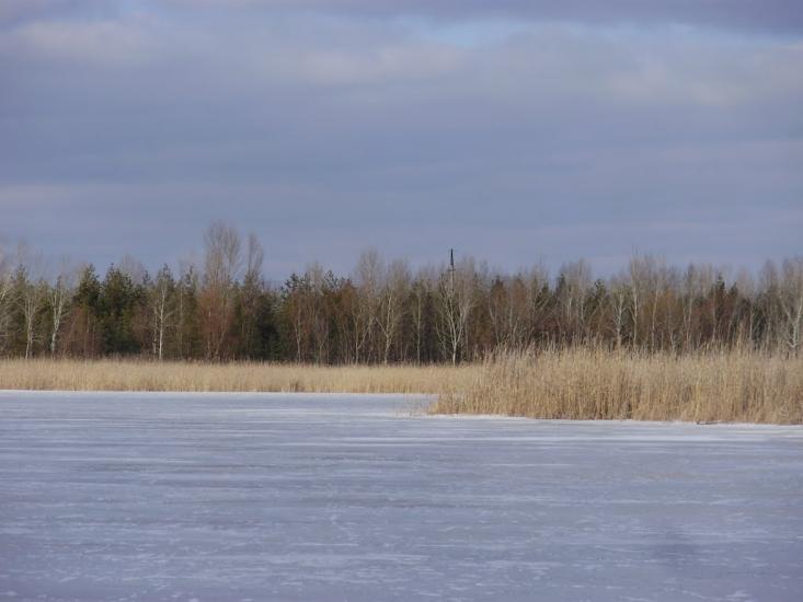 Котовка з panoramio.com - Котовка