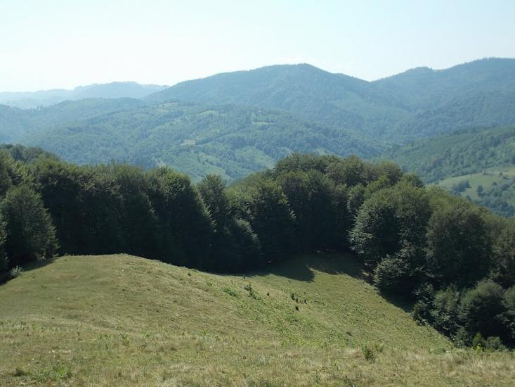 Прокурава з panoramio.com - Прокурава