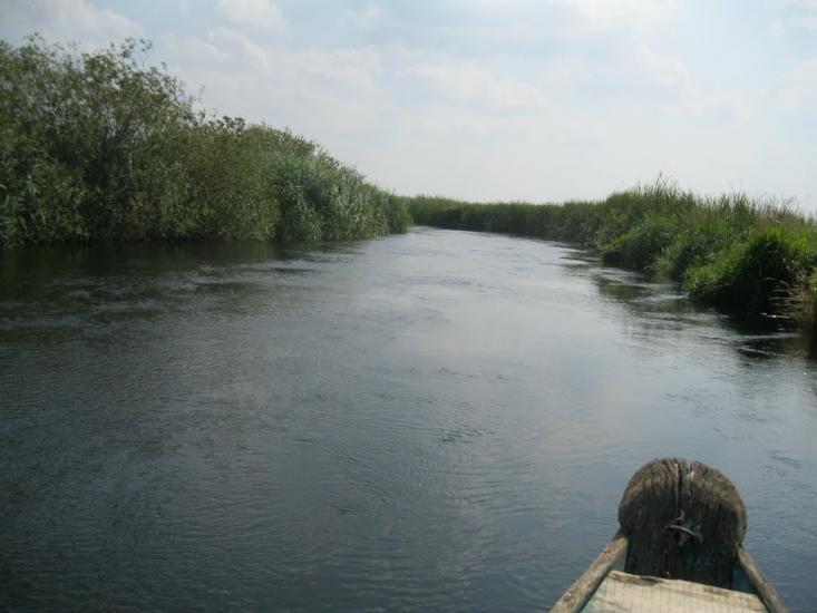 Хотешів з panoramio.com - Хотешов