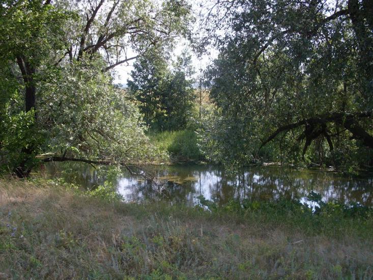 Могриця з panoramio.com - Mogrytsya
