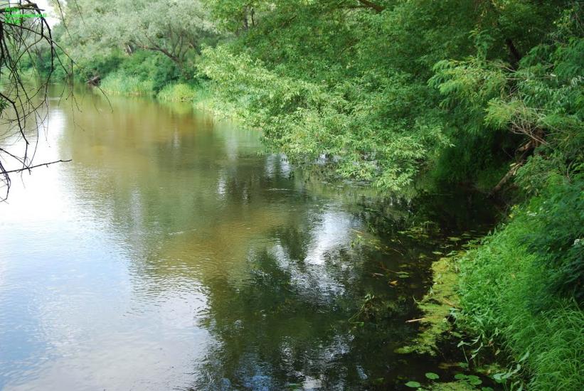 Лабурівка з panoramio.com - Лабуревка