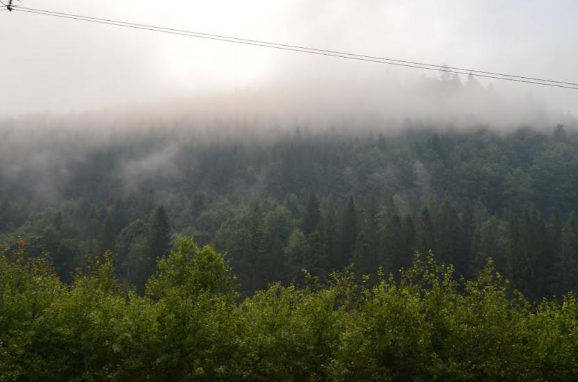Новий Мізунь з panoramio.com - Novyy Mizun