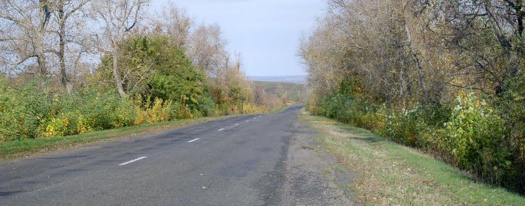 Зелений Яр з panoramio.com - Zelenyy Jar