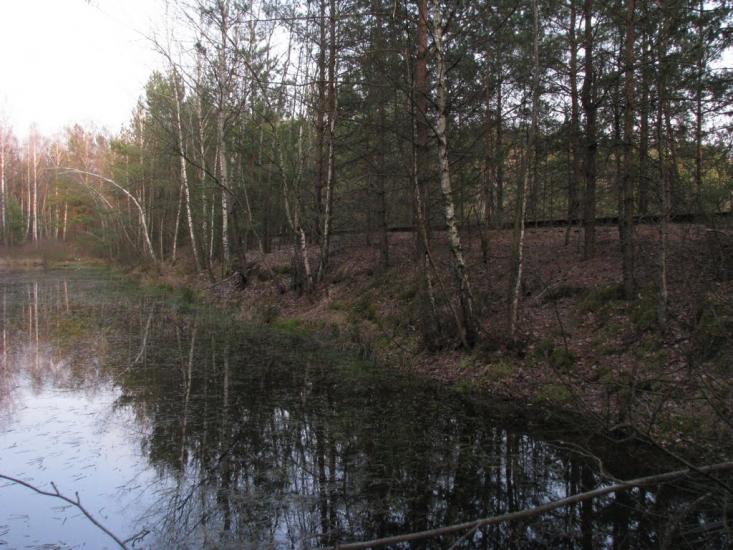 Судилків з panoramio.com - Судилків
