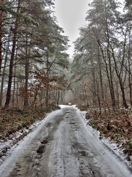 Підрясне з panoramio.com - Подрясное