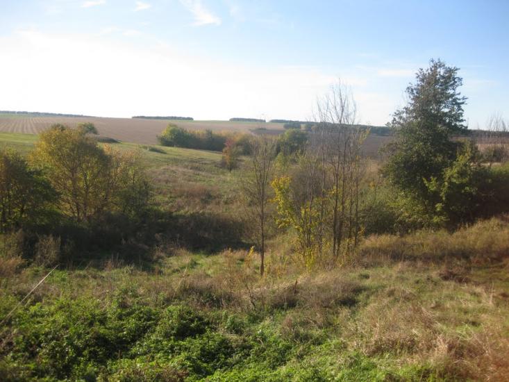 Шрамки з panoramio.com - Шрамки