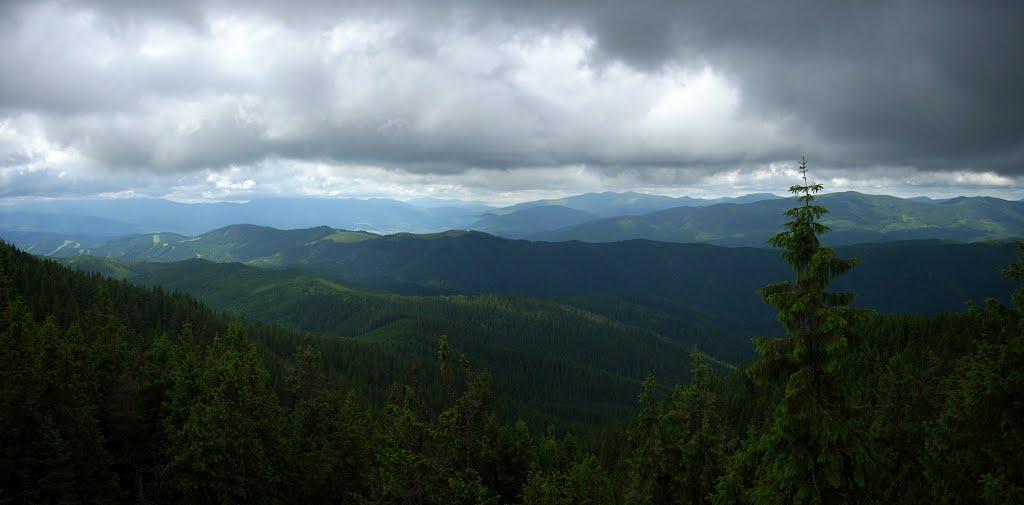 Черник з panoramio.com - Черник