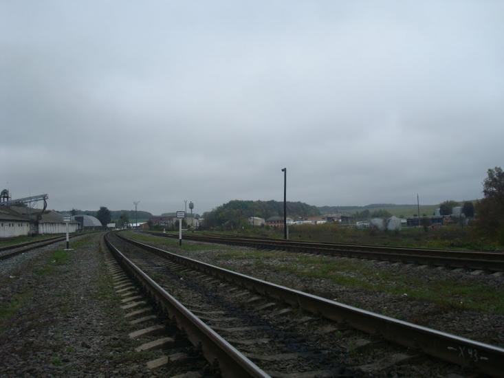 Буйволівці з panoramio.com - Буйволівці