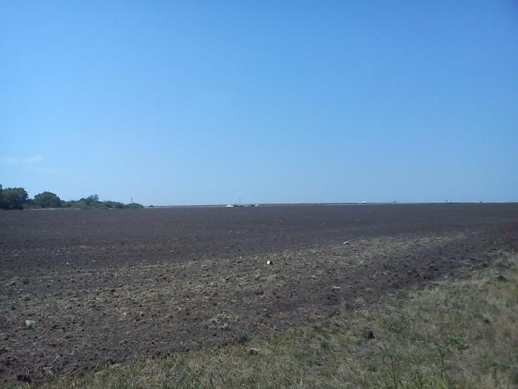 Каштанове з panoramio.com - Каштанове