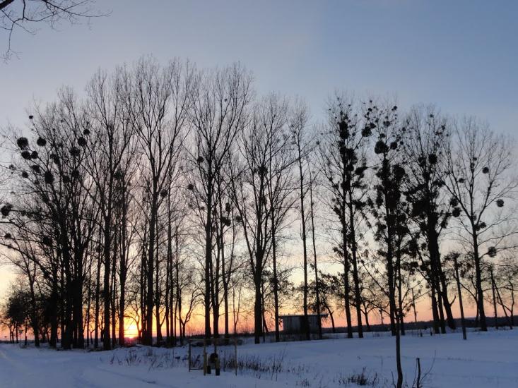 Бодячів з panoramio.com - Бодячев