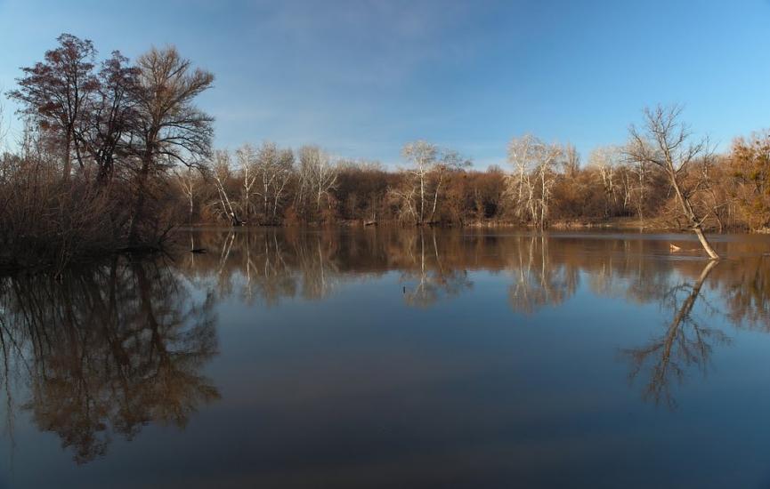 Черемушне з panoramio.com - Черемушное