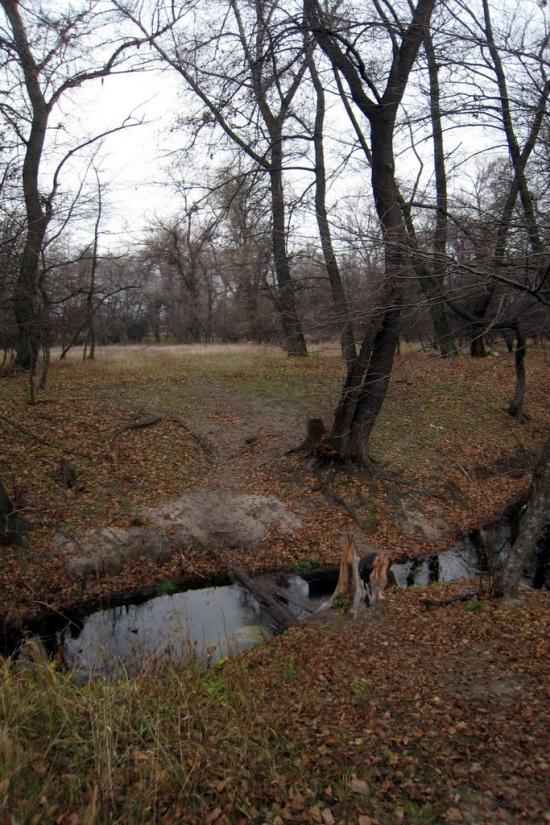 Верхня Вільхова з panoramio.com - Верхня Вільхова