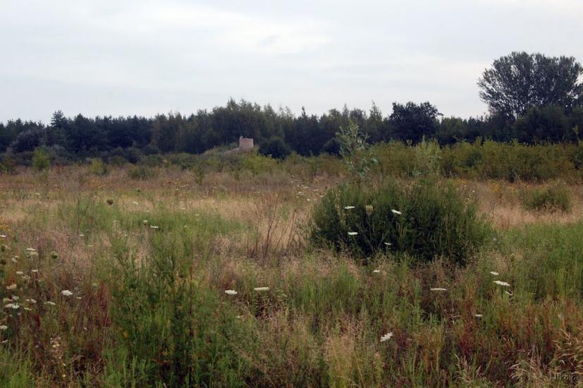 Нижнє з panoramio.com - Nyzhnye