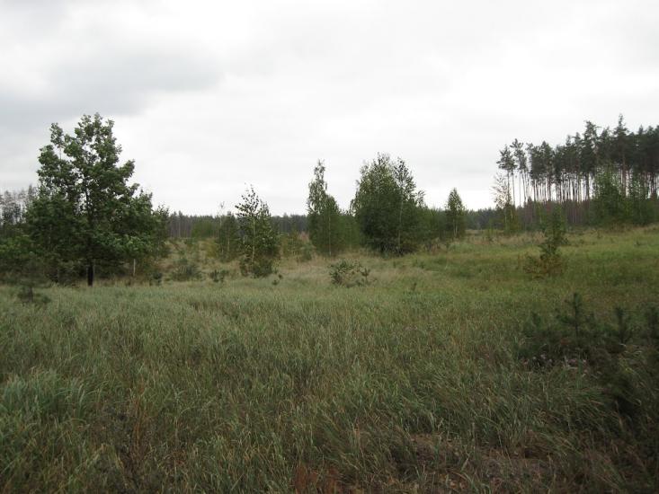 Циблі з panoramio.com - Tsybli