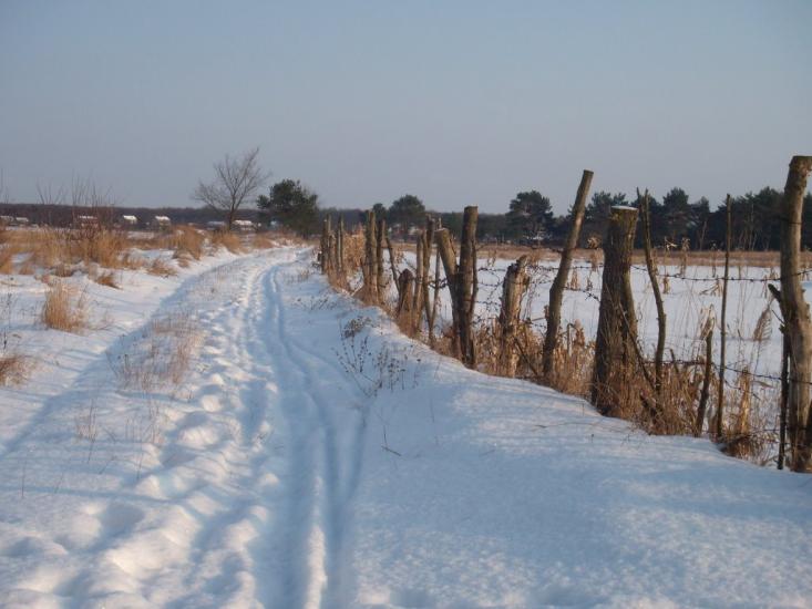 Чмирівка з panoramio.com - Чмыревка