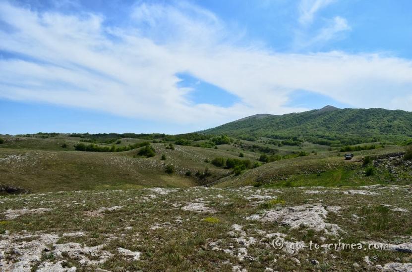 Пчолине з panoramio.com - Пчелиное