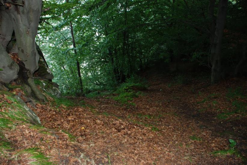Тишівниця з panoramio.com - Тышивница