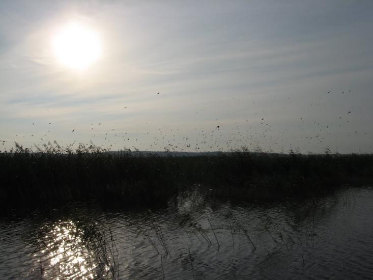 Боремель з panoramio.com - Боремель