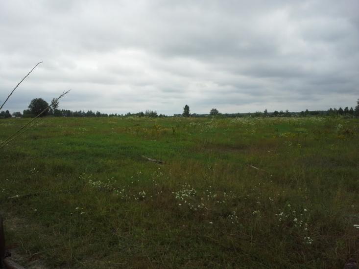 Сошники з panoramio.com - Сошники