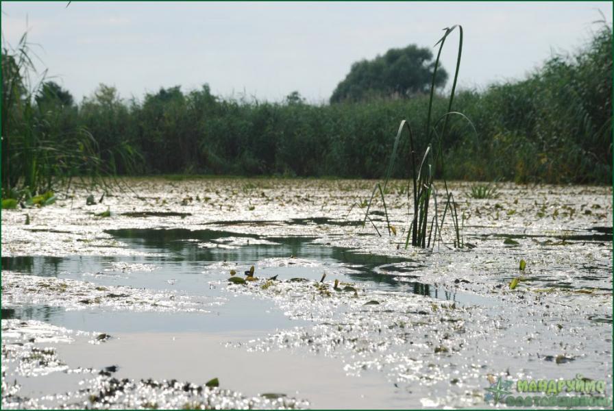 Лушники з panoramio.com - Лушники