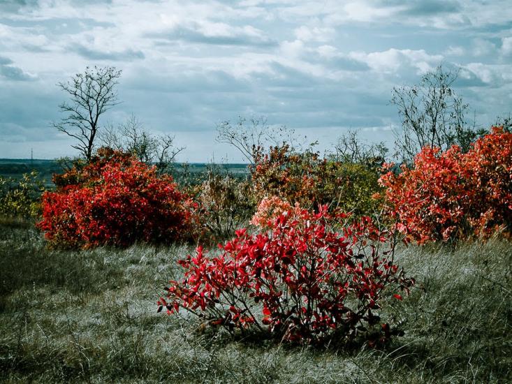 Алмазна з panoramio.com - Алмазная