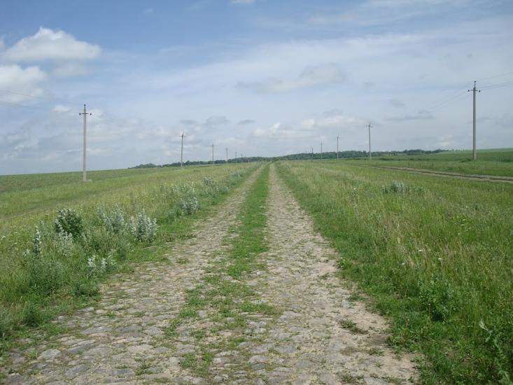Черепова з panoramio.com - Черепова