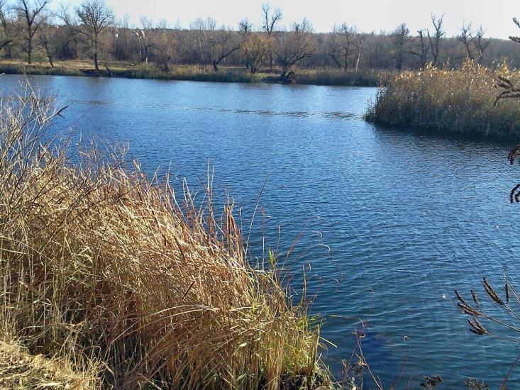 Щастя з panoramio.com - Счастье