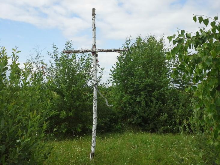 Вирка з panoramio.com - Vyrka