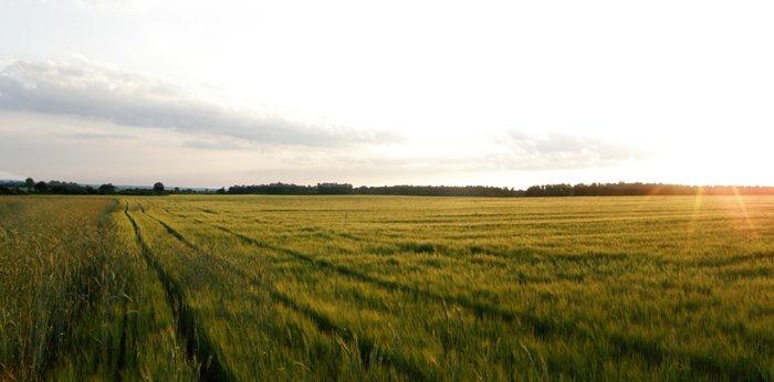 Угнів з panoramio.com - Угнів