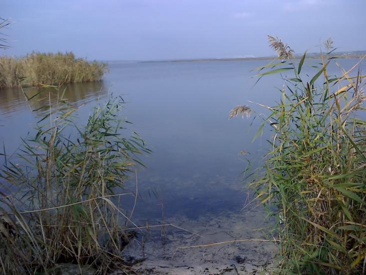 Гур'ївка з panoramio.com - Гурьевка