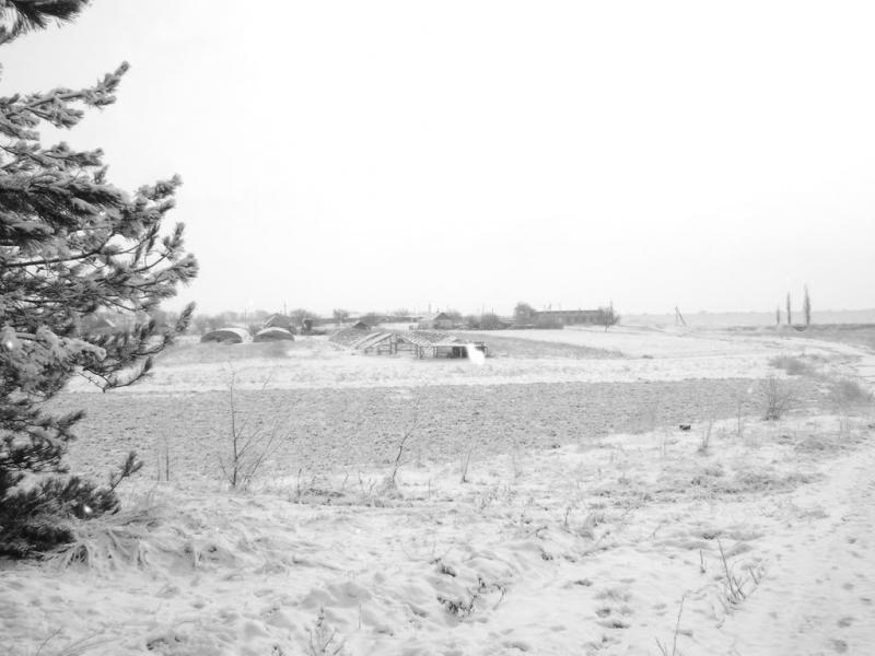 Михайло-Ларине з panoramio.com - Михайло-Ларине