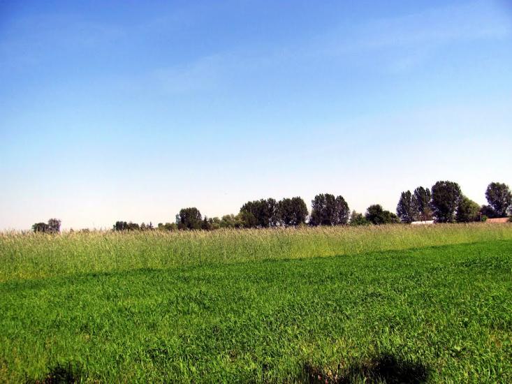 Козлиничі з panoramio.com - Козлиничи