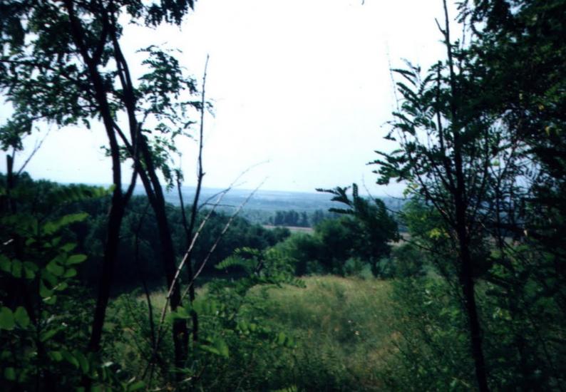 Врадіївка з panoramio.com - Врадиевка