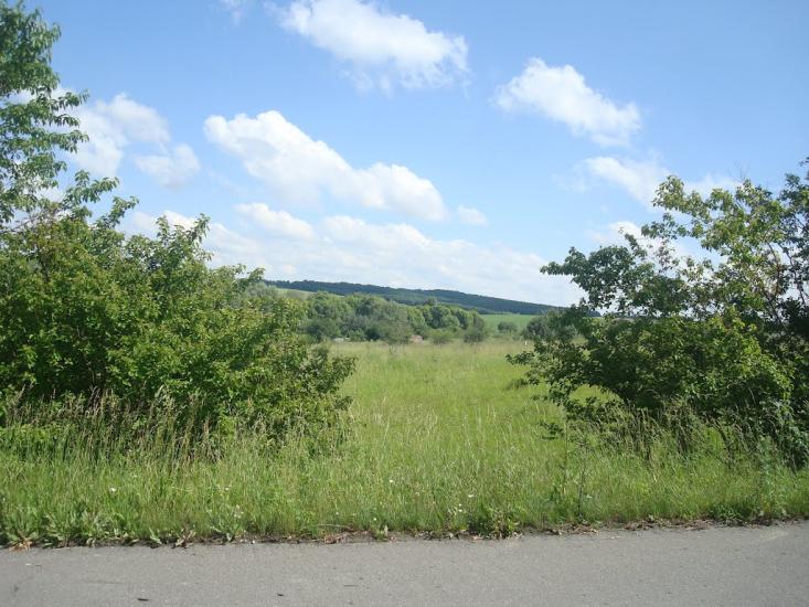 Малашівці з panoramio.com - Малашевцы