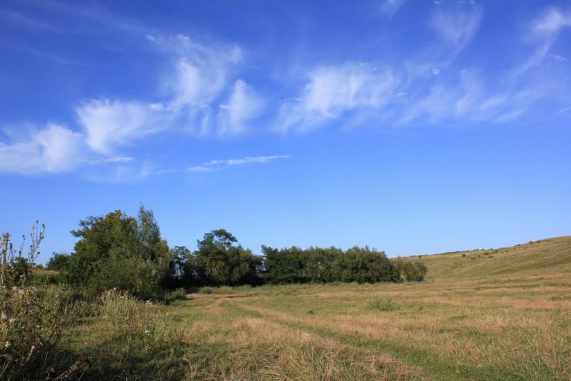 Подвір'ївка з panoramio.com - Подворьевка