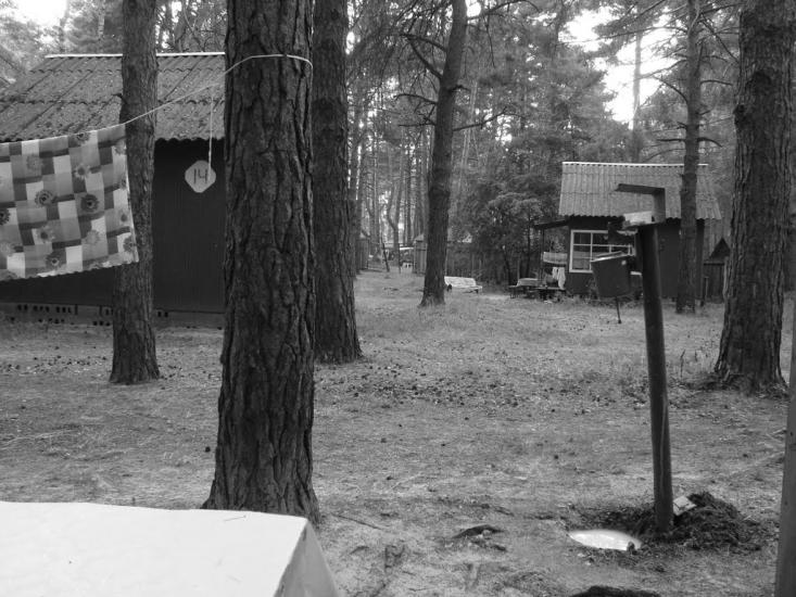 Прохорівка з panoramio.com - Prokhorivka
