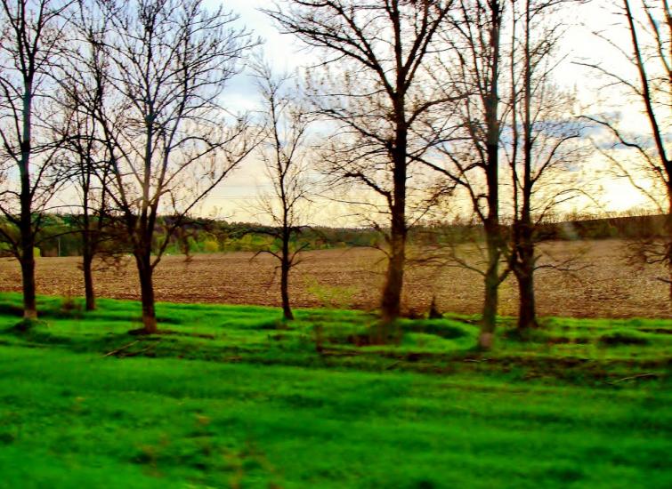Звенигородка з panoramio.com - Звенигородка