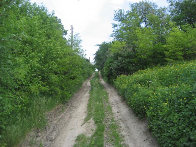 Северинівка - Севериновка