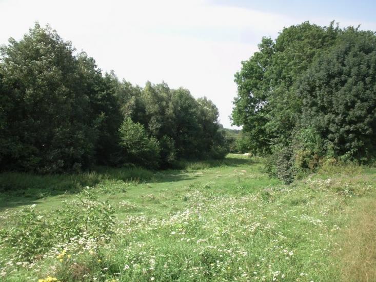 Чагарі-Збаразькі з panoramio.com - Чагарі-Збаразькі