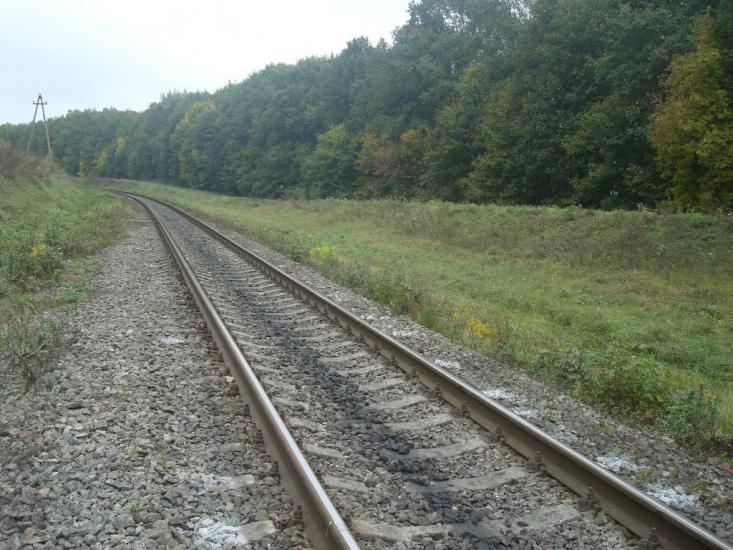 Буйволівці з panoramio.com - Буйволівці