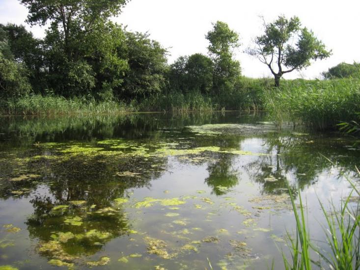 Долинівка з panoramio.com - Долинівка